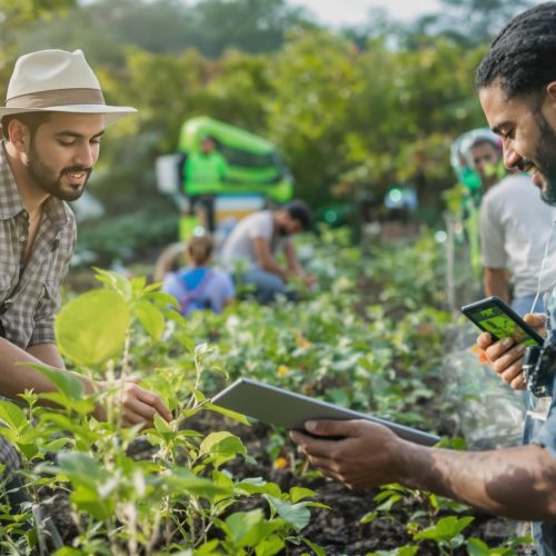 Sustentabilidade e Inovação Digital – Um Caminho Necessário